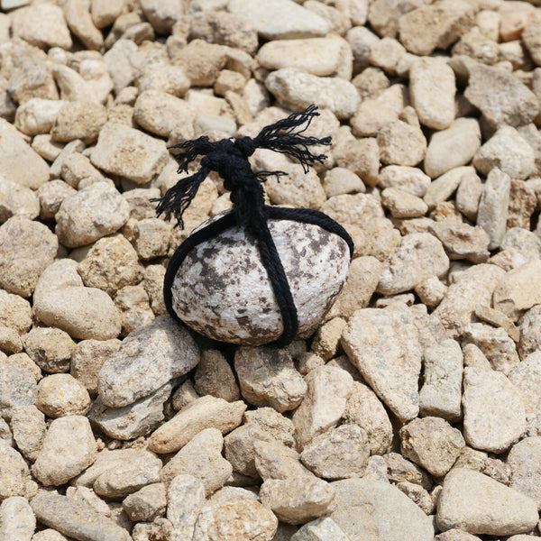 【Exclusive】siyuhada studio Object 01