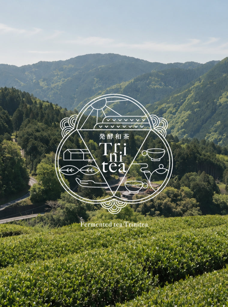 岐阜・白川町、発酵和茶Triniteaを訪ねて。
